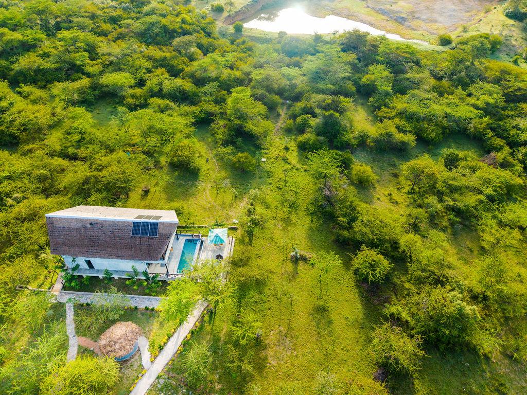 DJI_20250403075508_0193_D-HDR