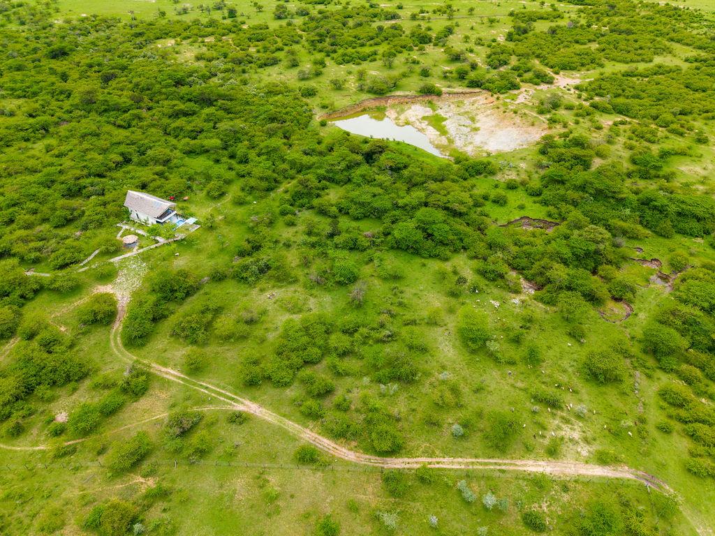 DJI_20250406121459_0333_D-HDR