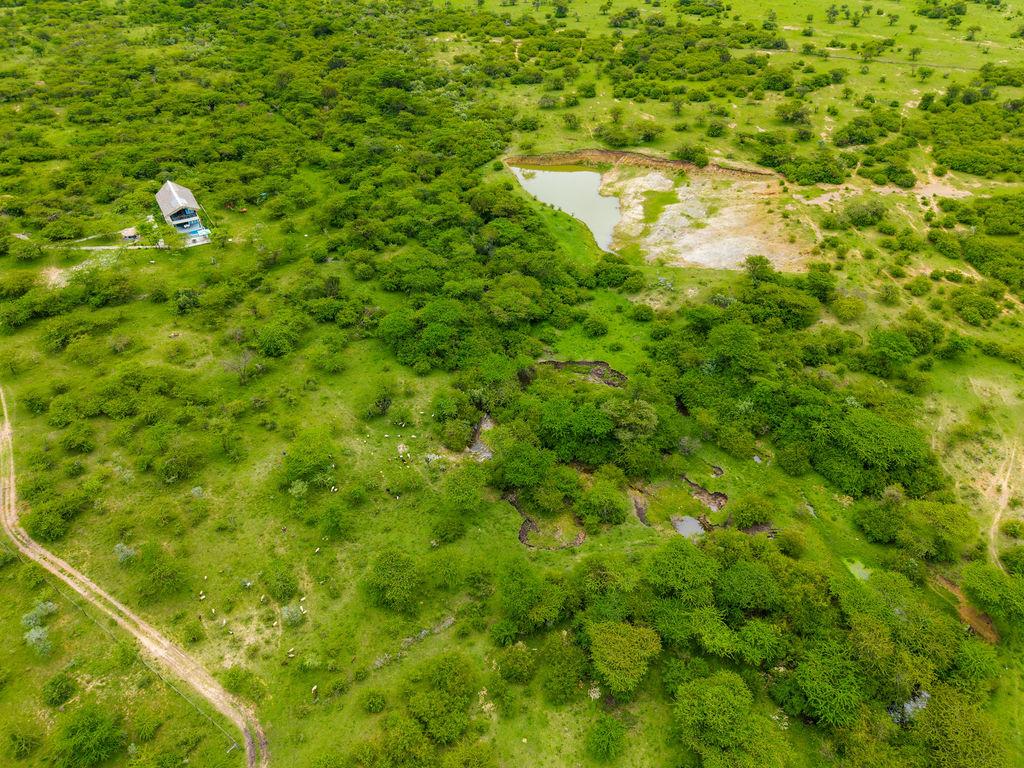 DJI_20250406121535_0336_D-HDR