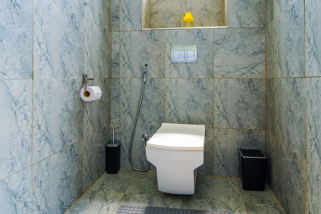 Bathroom entrance view